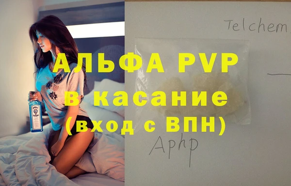 СК Покачи
