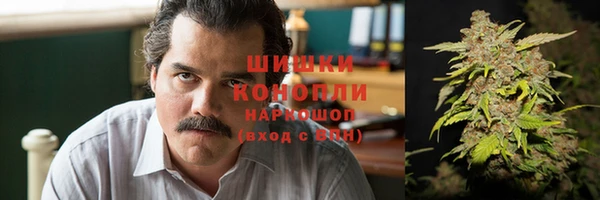 ПСИЛОЦИБИНОВЫЕ ГРИБЫ Баксан