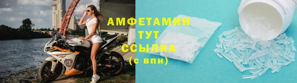 ПСИЛОЦИБИНОВЫЕ ГРИБЫ Баксан