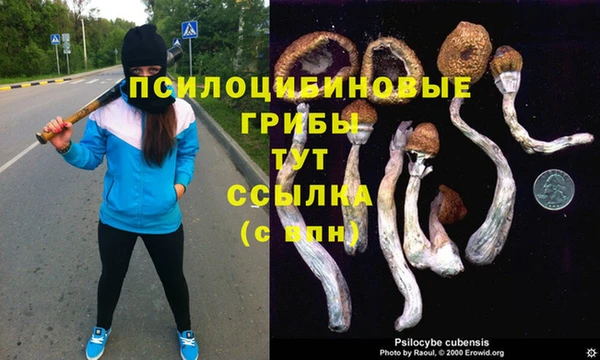 СК Покачи